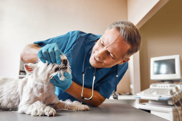 Best 24-Hour Emergency Dentist in Citrus City, TX